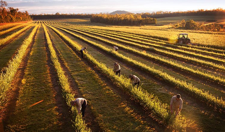 Eat Like A Greek! 8 Reasons To Follow A Mediterranean Diet