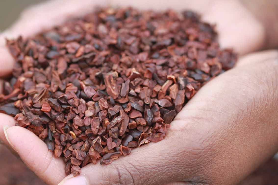 8 Best Super Foods: Kale, Coconut Oil, Acai & More 8 Best Super Foods: Kale, Coconut Oil, Acai & More