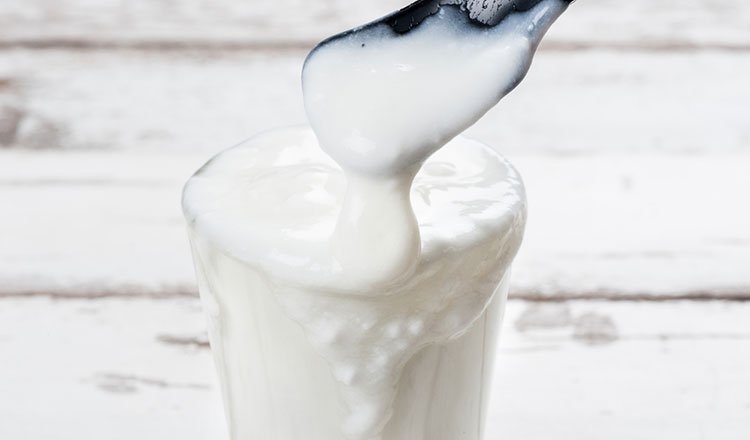 Yoghurt helps fight sugar addiction