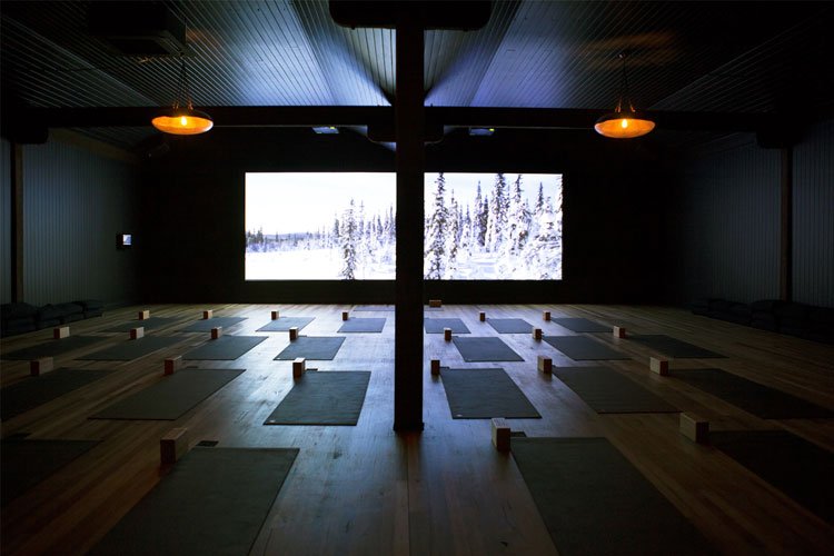 Yoga Revolution 
