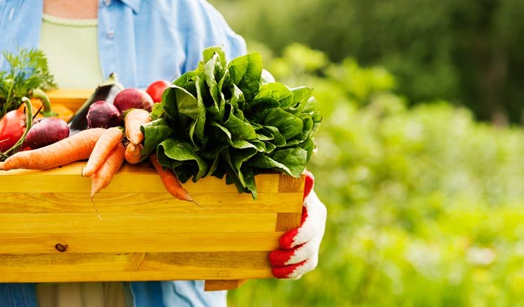 7 Foods You Should Always Eat Together9