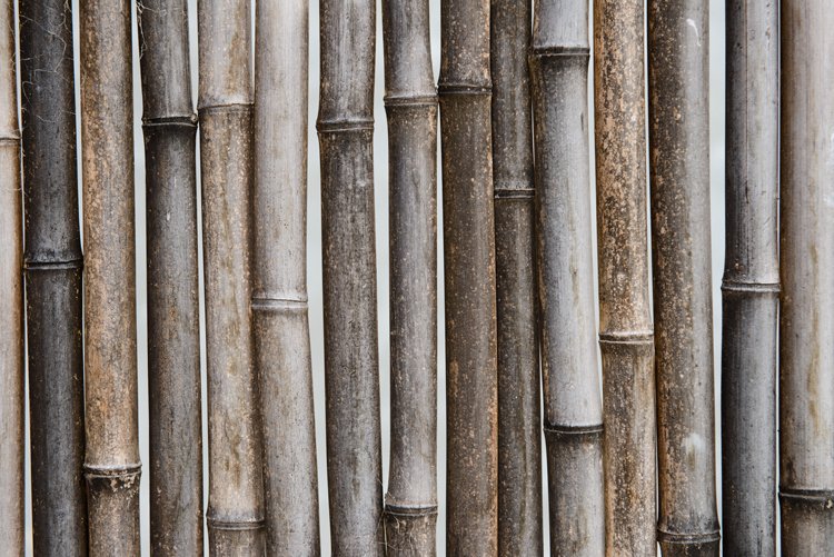 How To Take A 24 Hour Detox bamboo