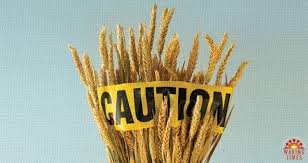 Is it still good for health to eat bread?